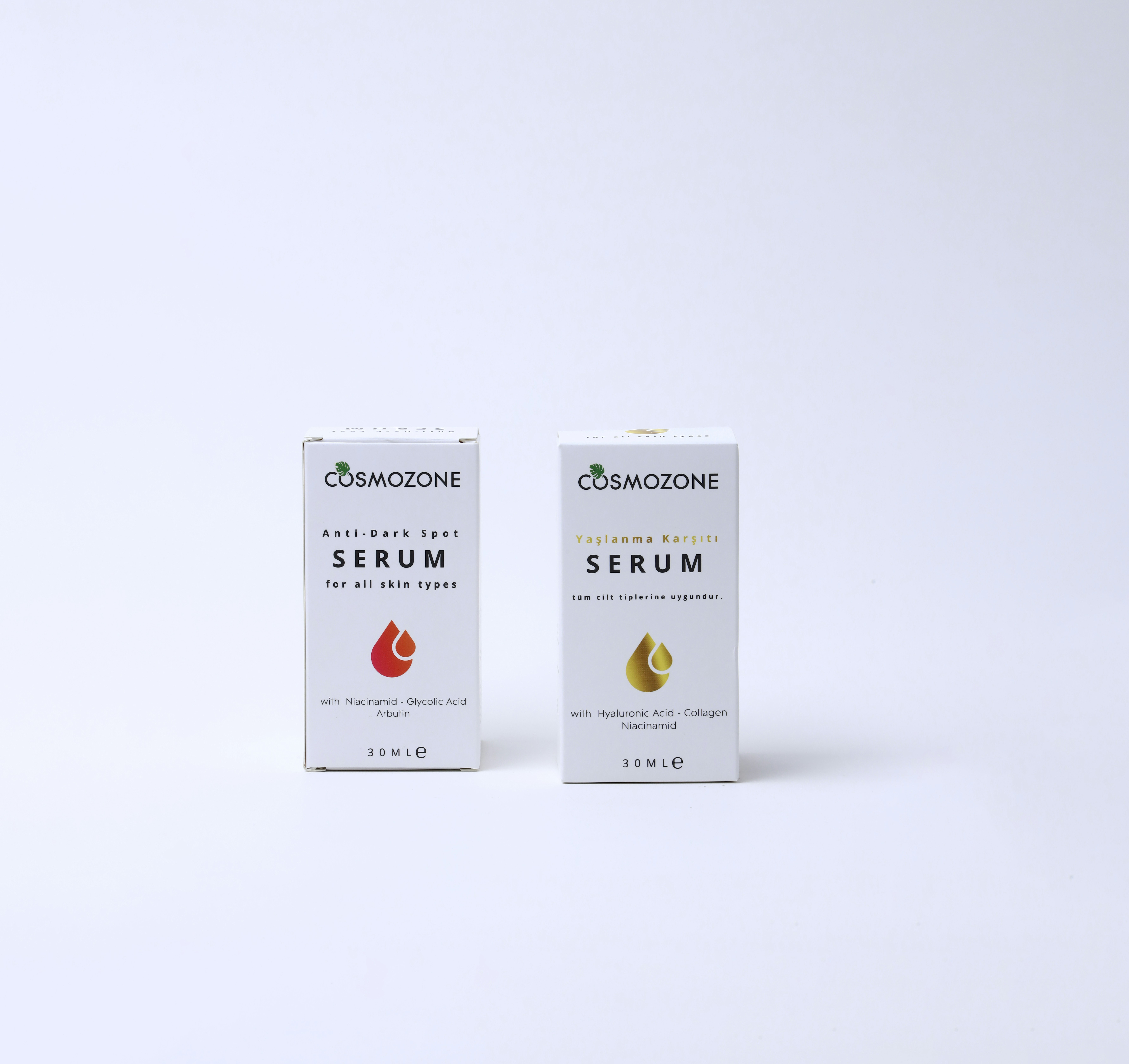 graphical user interface, application